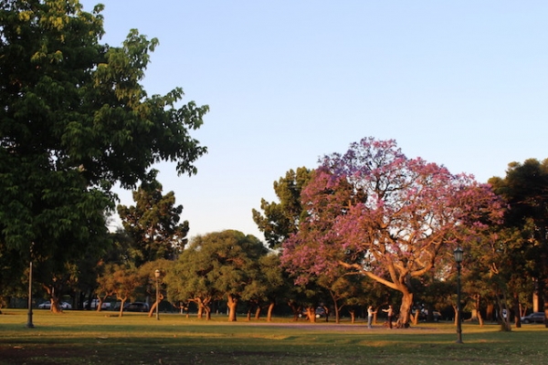 Jardim de Palermo na cidade de Buenos Aires.