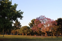 Jardim de Palermo na cidade de Buenos Aires.