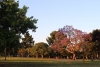 Jardim de Palermo na cidade de Buenos Aires.